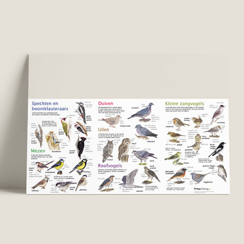 Tringa paintings Zoekkaart Bosvogels van Tringa Paintings voor buiten ontdekken Tringa paintings Zoekkaart Bosvogels van Tringa Paintings voor buiten ontdekken