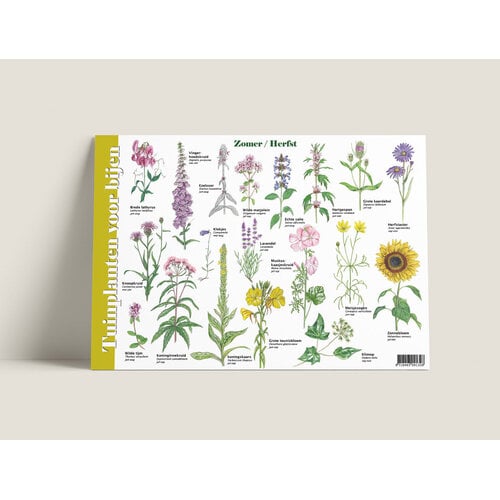 Tringa paintings Herkenningskaart Tuinplanten voor bijen met natuurillustraties van Jasper de Ruiter Tringa paintings Herkenningskaart Tuinplanten voor bijen met natuurillustraties van Jasper de Ruiter
