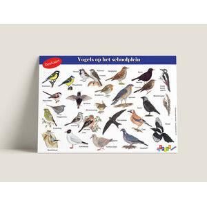 Tringa paintings Tringa doekaart Vogels Tringa paintings Tringa doekaart Vogels