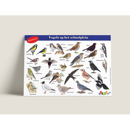 Tringa paintings Tringa doekaart Vogels Tringa paintings Tringa doekaart Vogels
