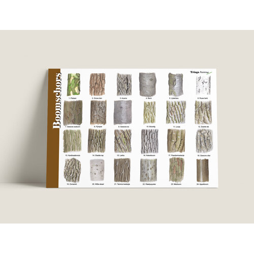 Tringa paintings Herkenningskaart Boomschors met natuurillustraties van Jasper de Ruiter Tringa paintings Herkenningskaart Boomschors met natuurillustraties van Jasper de Ruiter
