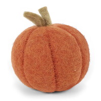 Pompoen roestrood 10 cm