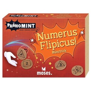 PhänoMINT Numerus Flipicus