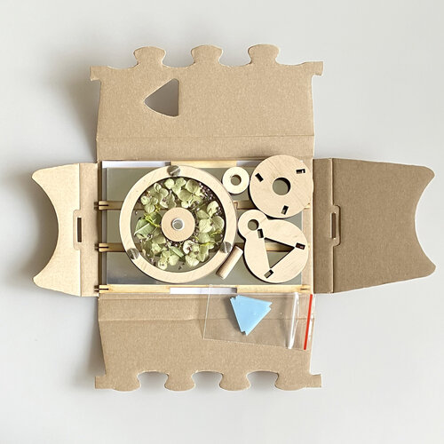 AMBERKALEIDOSCOPE DIY houten caleidoscoop met gedroogde bloemen of Baltische barnsteen AMBERKALEIDOSCOPE DIY houten caleidoscoop met gedroogde bloemen of Baltische barnsteen