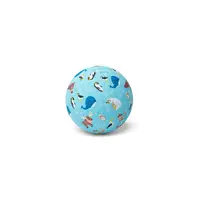 Rubberen bal Noordpool 13 cm