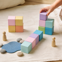 Houten regenboogkubussen pastel 12 stuks