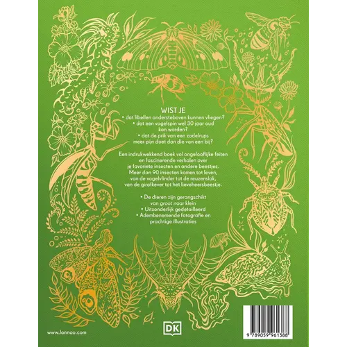 Lannoo kinderboeken Het dikke boek van alle bijzondere insecten en andere beestjes, vanaf 6 jaar Lannoo kinderboeken Het dikke boek van alle bijzondere insecten en andere beestjes, vanaf 6 jaar