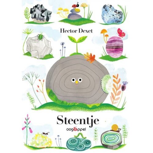 Steentje – kartonboek met doorkijkgaten en flappen van Hector Dexet