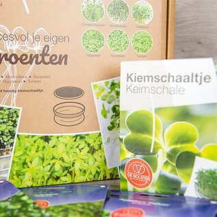 Bolster Zadenpakket 'Kiemgroenten met schaaltje'