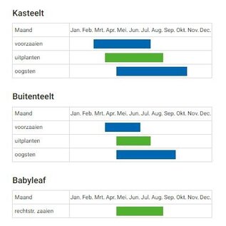 Krulsla zaadjes (BIO)