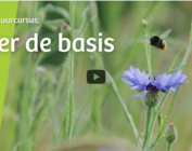 Pakket  cursus 'Leer de Basis' 
