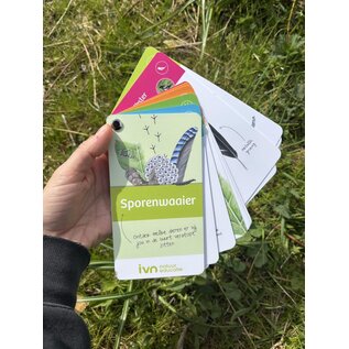 IVN Sporenwaaier