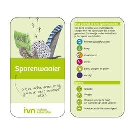 IVN Sporenwaaier