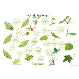 IVN Zoekkaart bladgallen