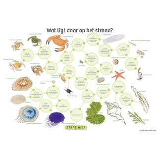 IVN Zoekkaart aanspoelsels