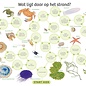 IVN Zoekkaart aanspoelsels