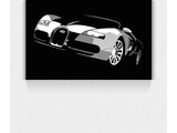 Car Art. Art on wheels. Ultimate Sportscar. Veyrron.