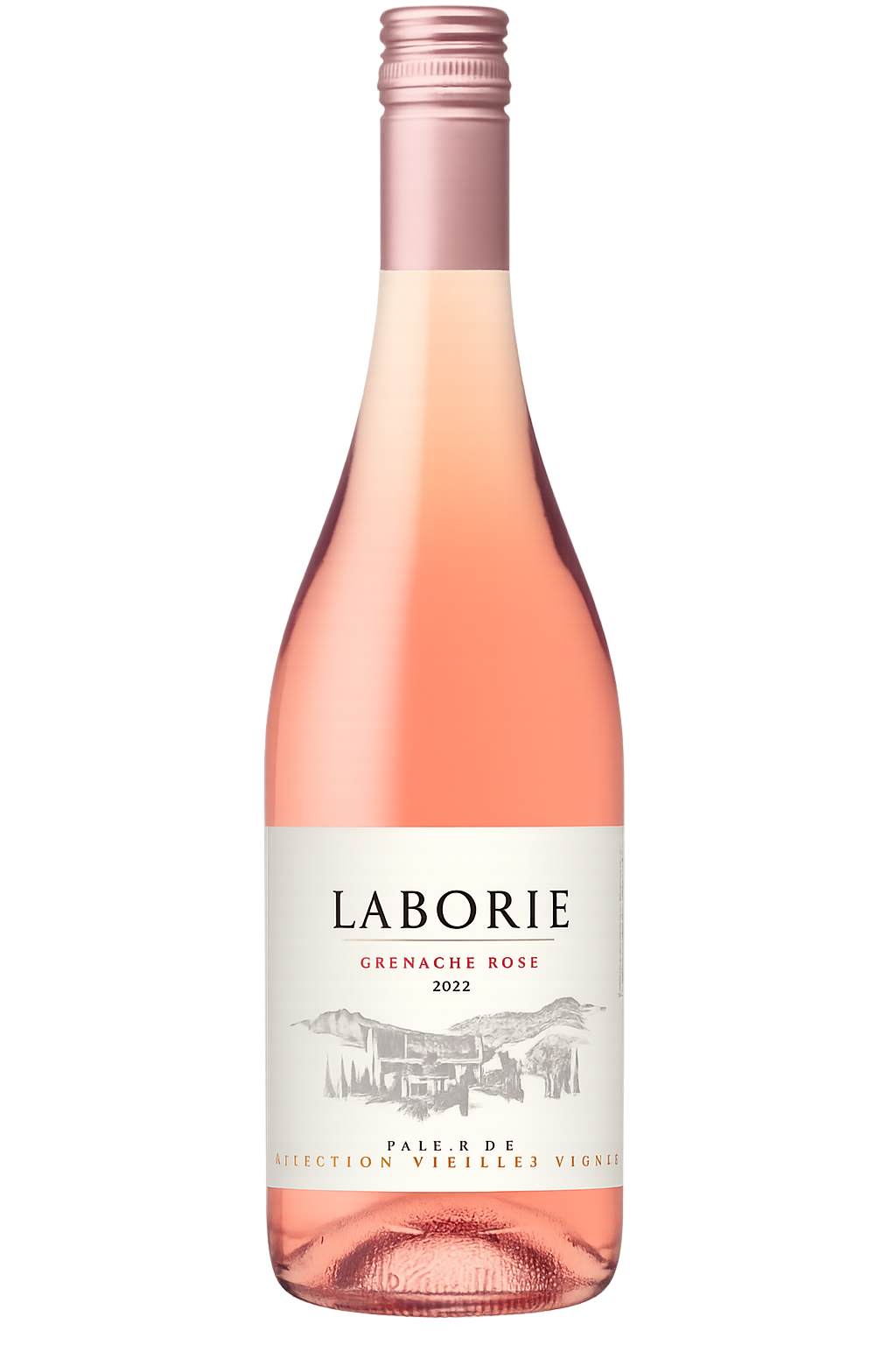 LaBorie rose