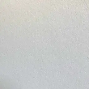 10100 Pure Mineral Renovliesbehang
