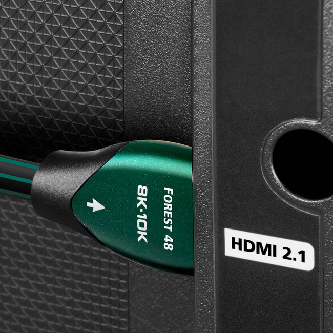 AudioQuest Forest 48
