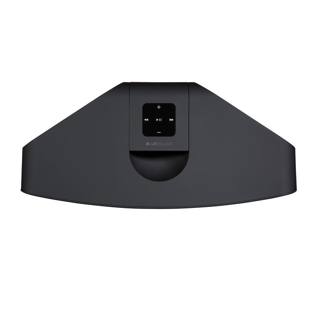 Bluesound Pulse 2i luidspreker