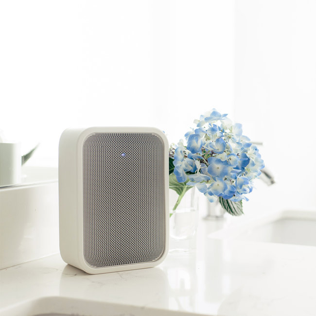 Bluesound Pulse Flex 2i luidspreker