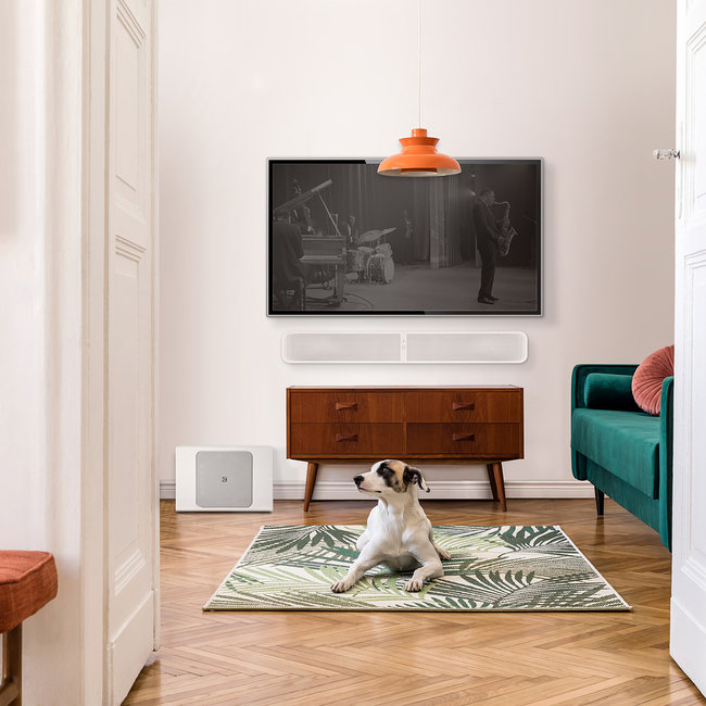 Bluesound Pulse Sub+