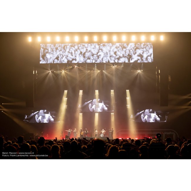 BRITEQ BT-NONABEAM - BQ1