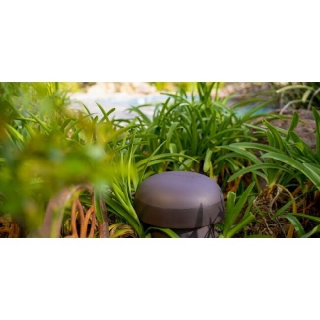 Sonance OMNI 6T Luidspreker (per stuk)