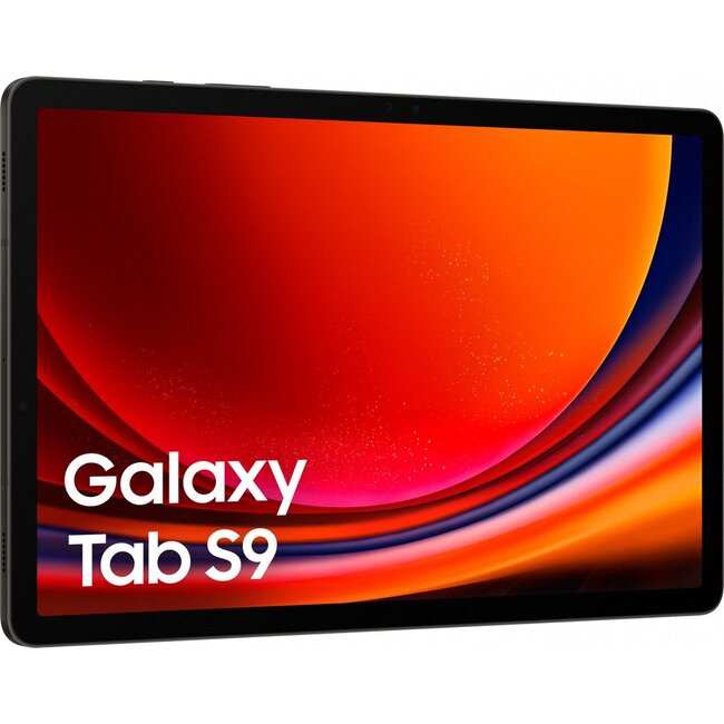 Samsung Galaxy Tab S9 WIFI 256Gb  Graphite