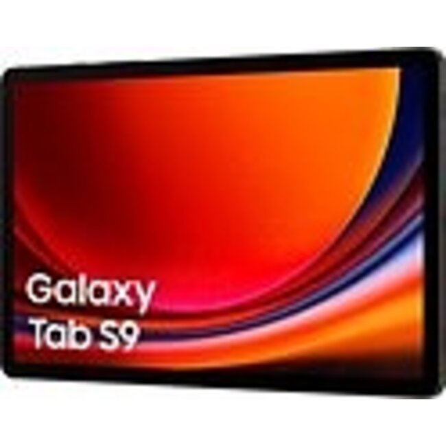 Samsung Galaxy Tab S9 WIFI 256Gb  Graphite