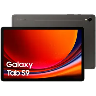 Samsung Samsung Galaxy Tab S9 5G 256Gb - Graphite