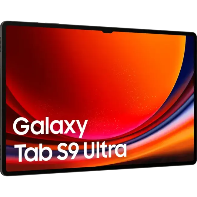 Samsung Galaxy Tab S9 Ultra 5G 256Gb Graphite