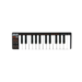 Akai LPK25 USB MIDI Keyboard