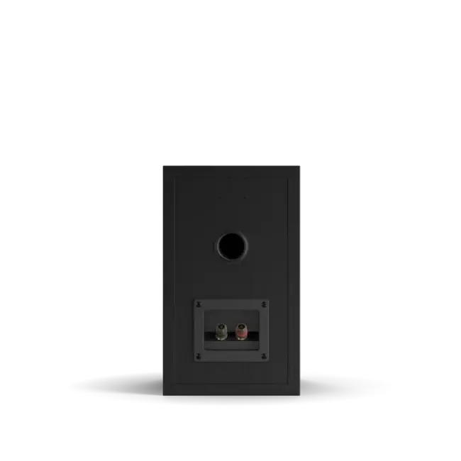 Dali Spektor 2 luidspreker zwart (prijs/stuk)