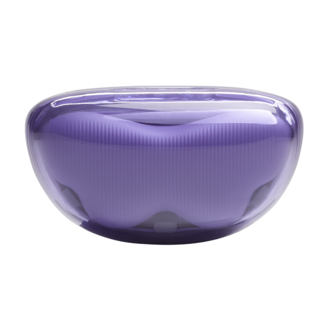 JBL Tune Flex 2 draadloze noice cancelling oortjes ghost editie paars