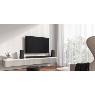 LOEWE inspire 65 (incl. TS) 62466D50