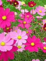 Configurable product normal - change name