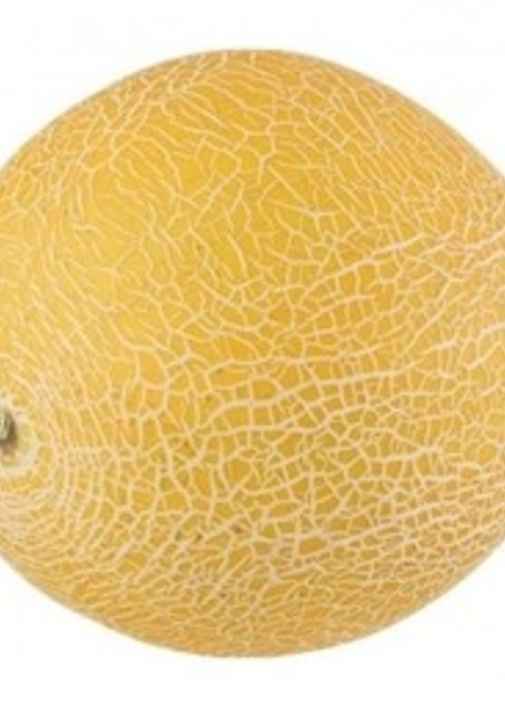 GF 1234  Galia Meloen Test product