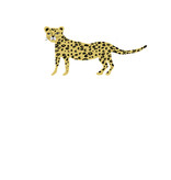 Letter pad A5 Leopard