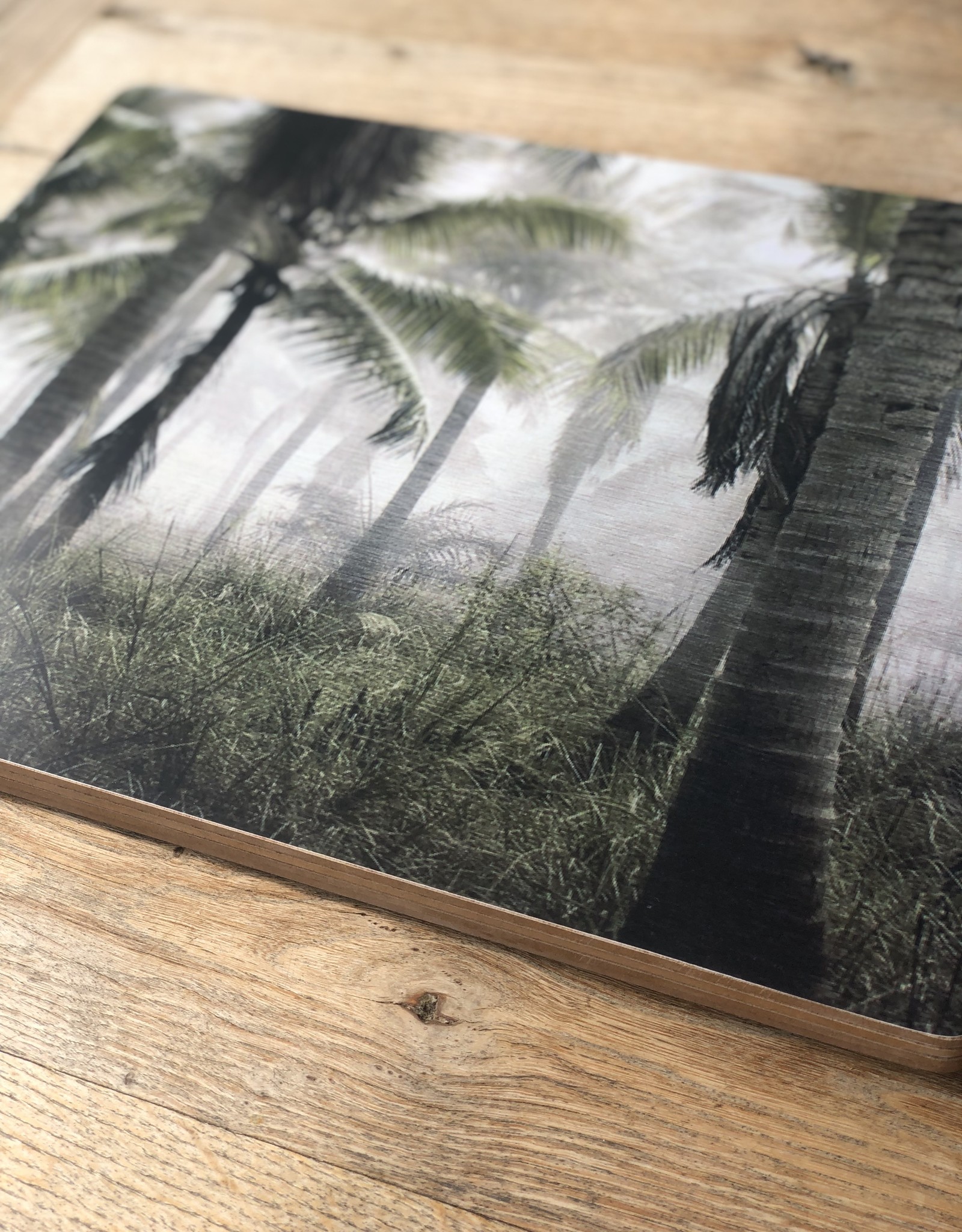 Mars & More Placemat 4 stuks - jungle in de mist