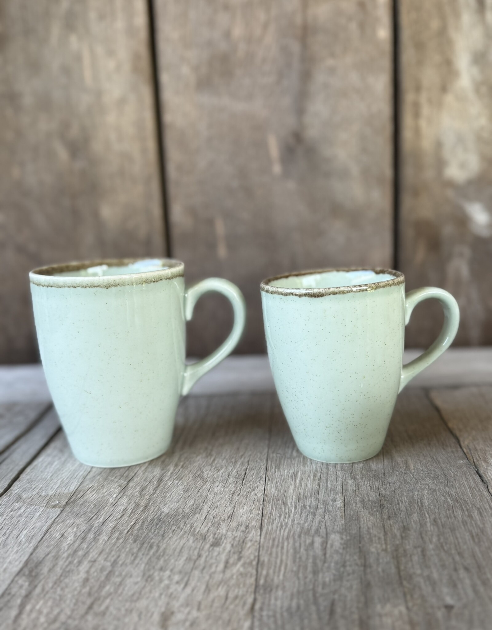 Kitchen Trend Mok ocean groen - medium - set van 6