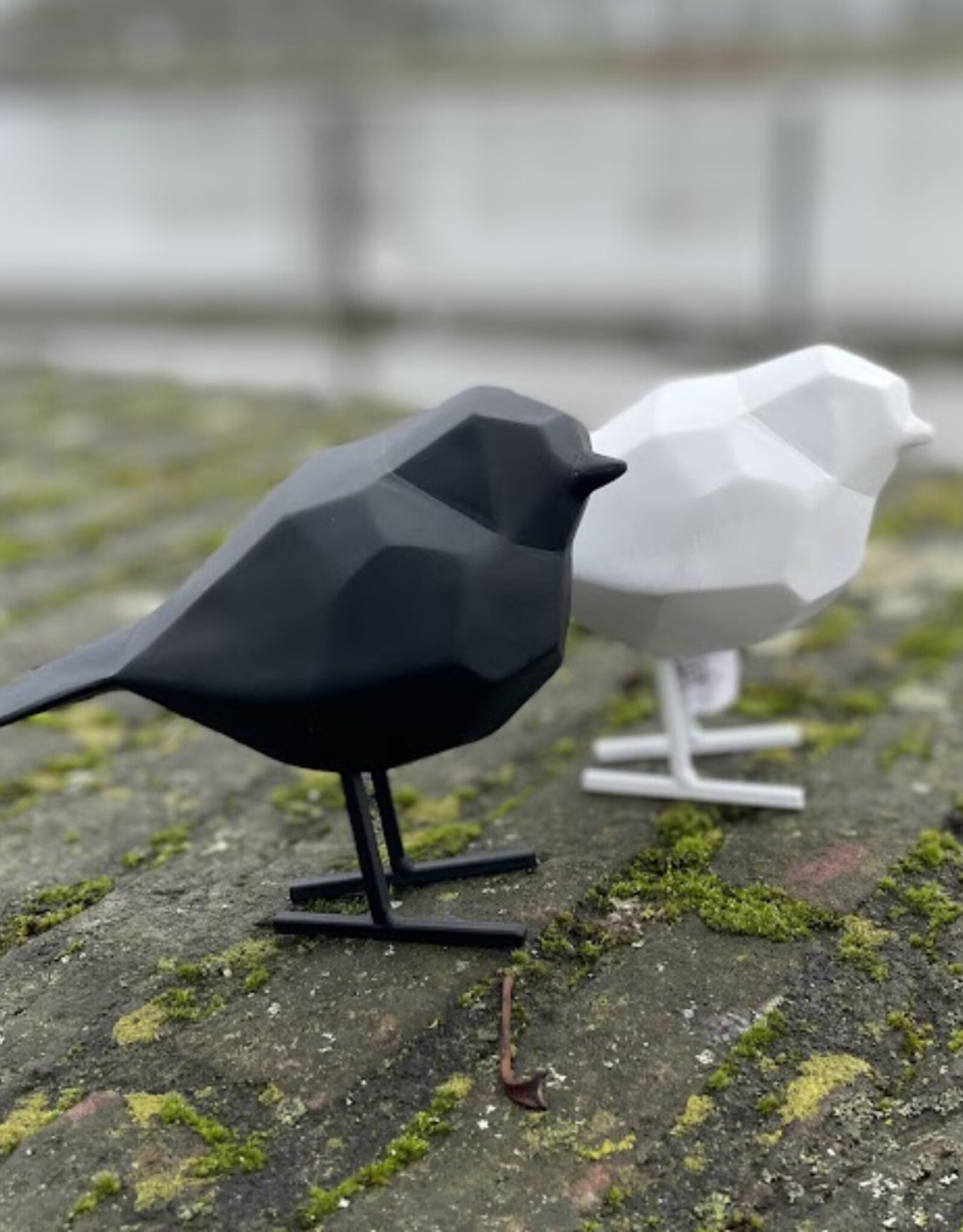 Present time Vogel origami  - zwart
