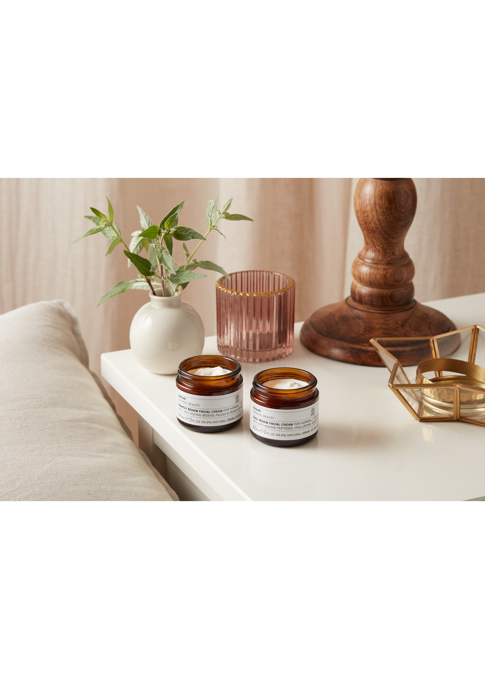 Evolve Organic Beauty  Nightly renew facial cream