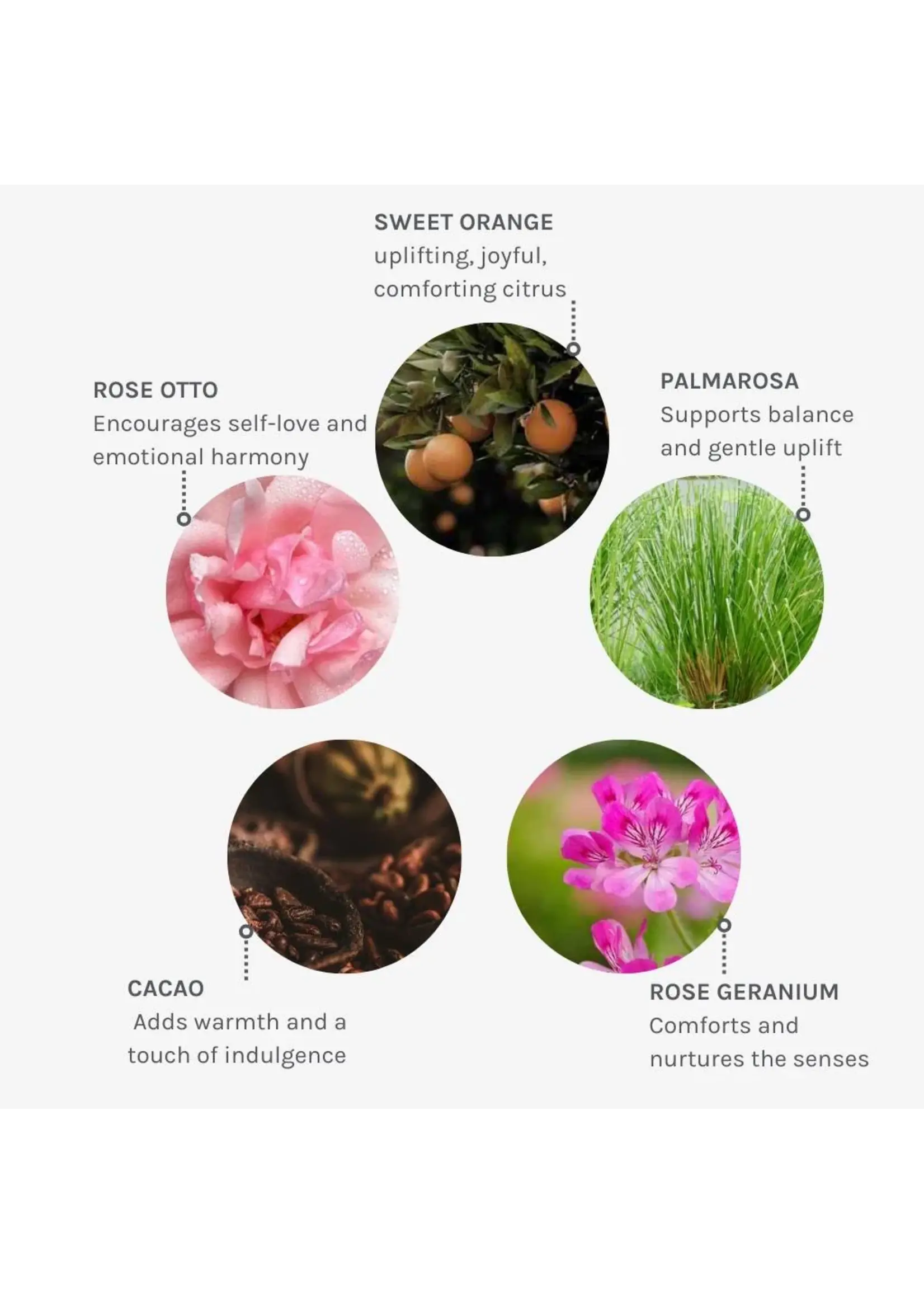 Evolve Organic Beauty  WILD DIVINE BIO-RETINOL BODY OIL