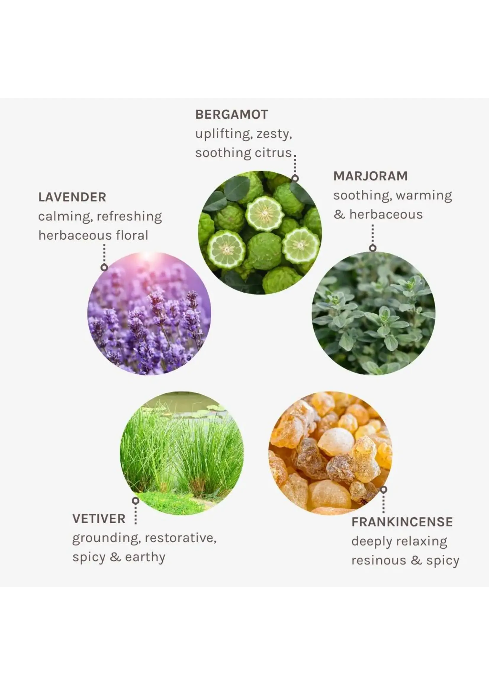 Evolve Organic Beauty  ZEN WHISPER AROMATIC BATH OIL