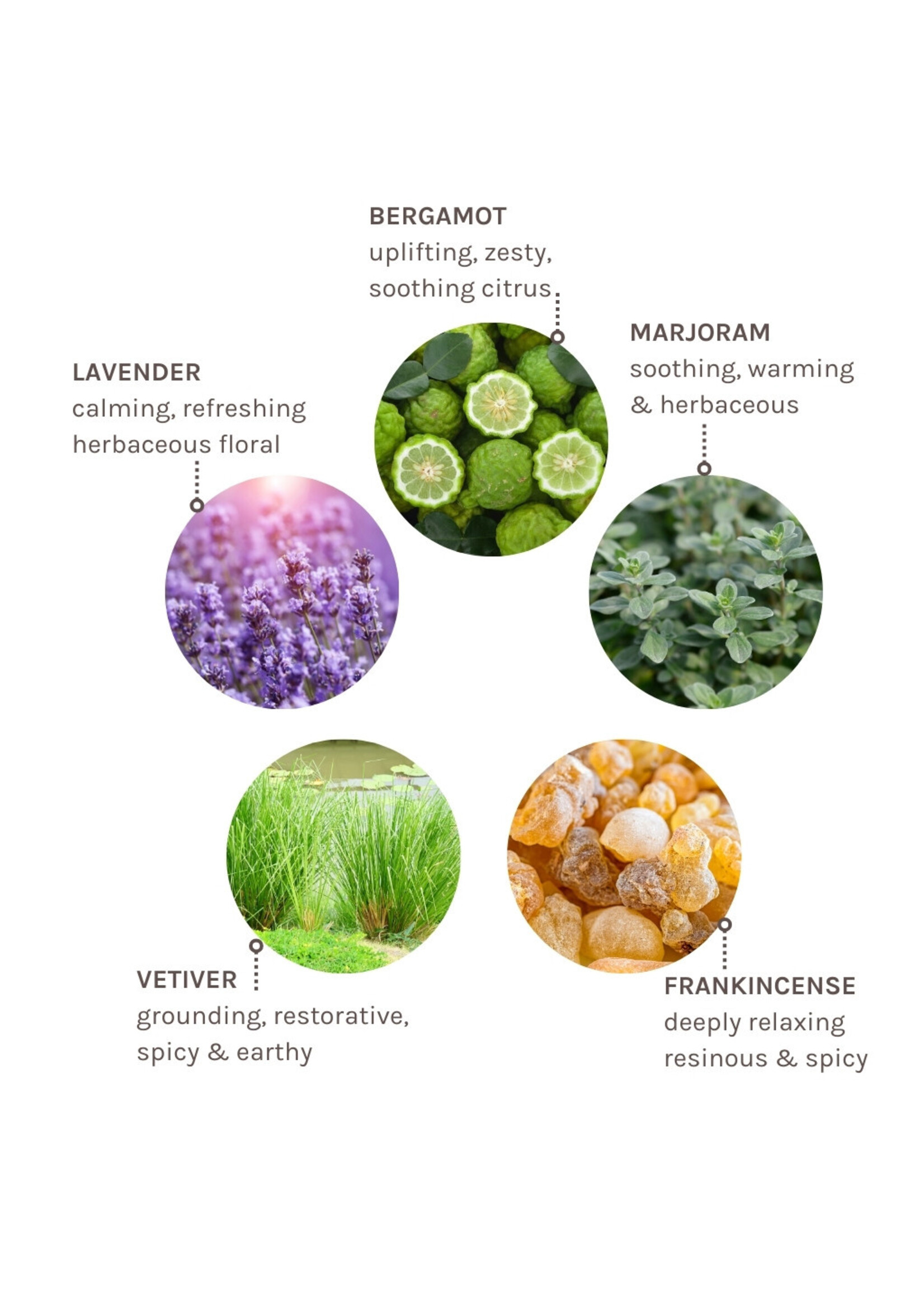 Evolve Organic Beauty  Evolve Zen Wisper Pulse Point Roller