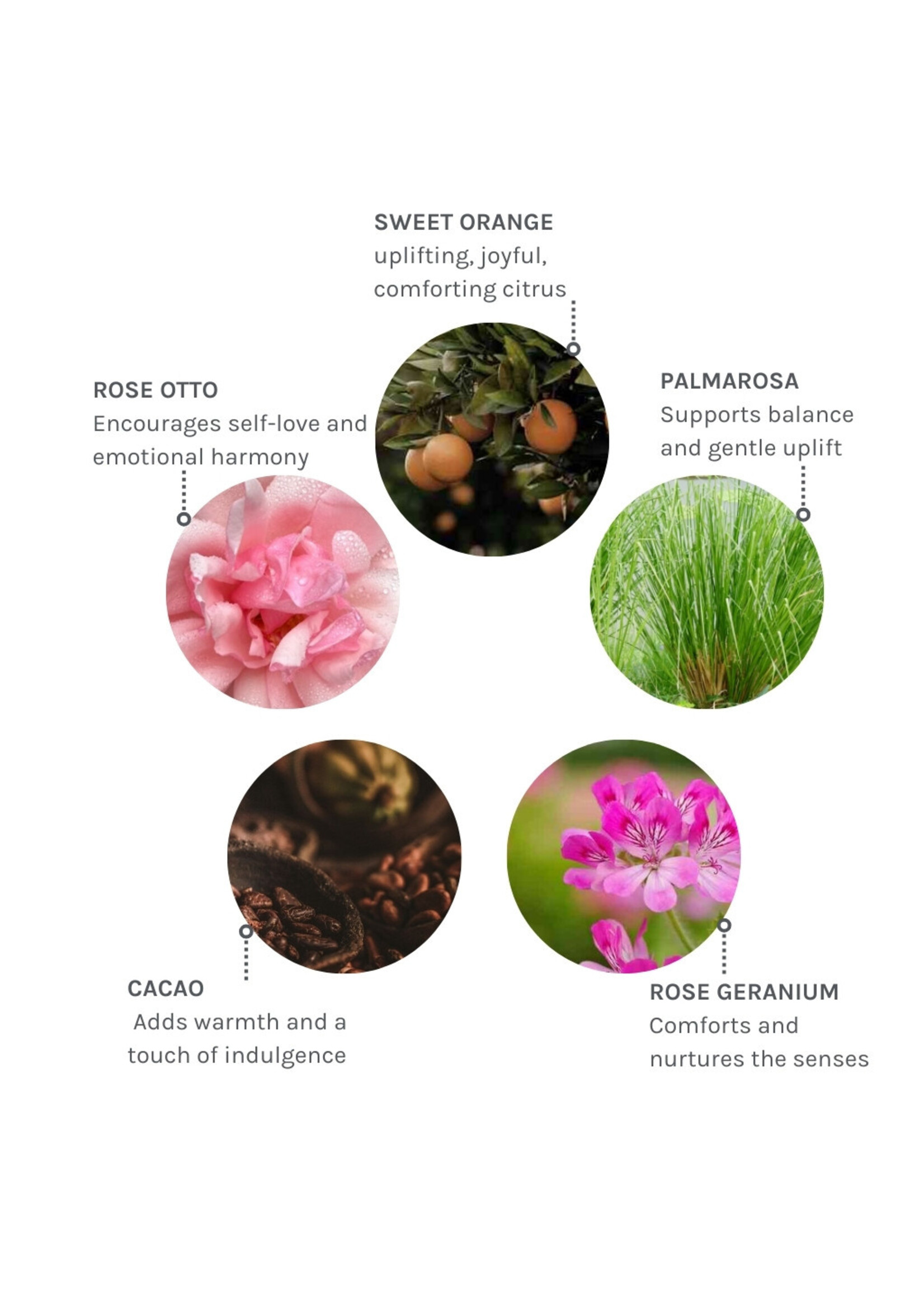 Evolve Organic Beauty  Wild Divine Pulse Point Roller