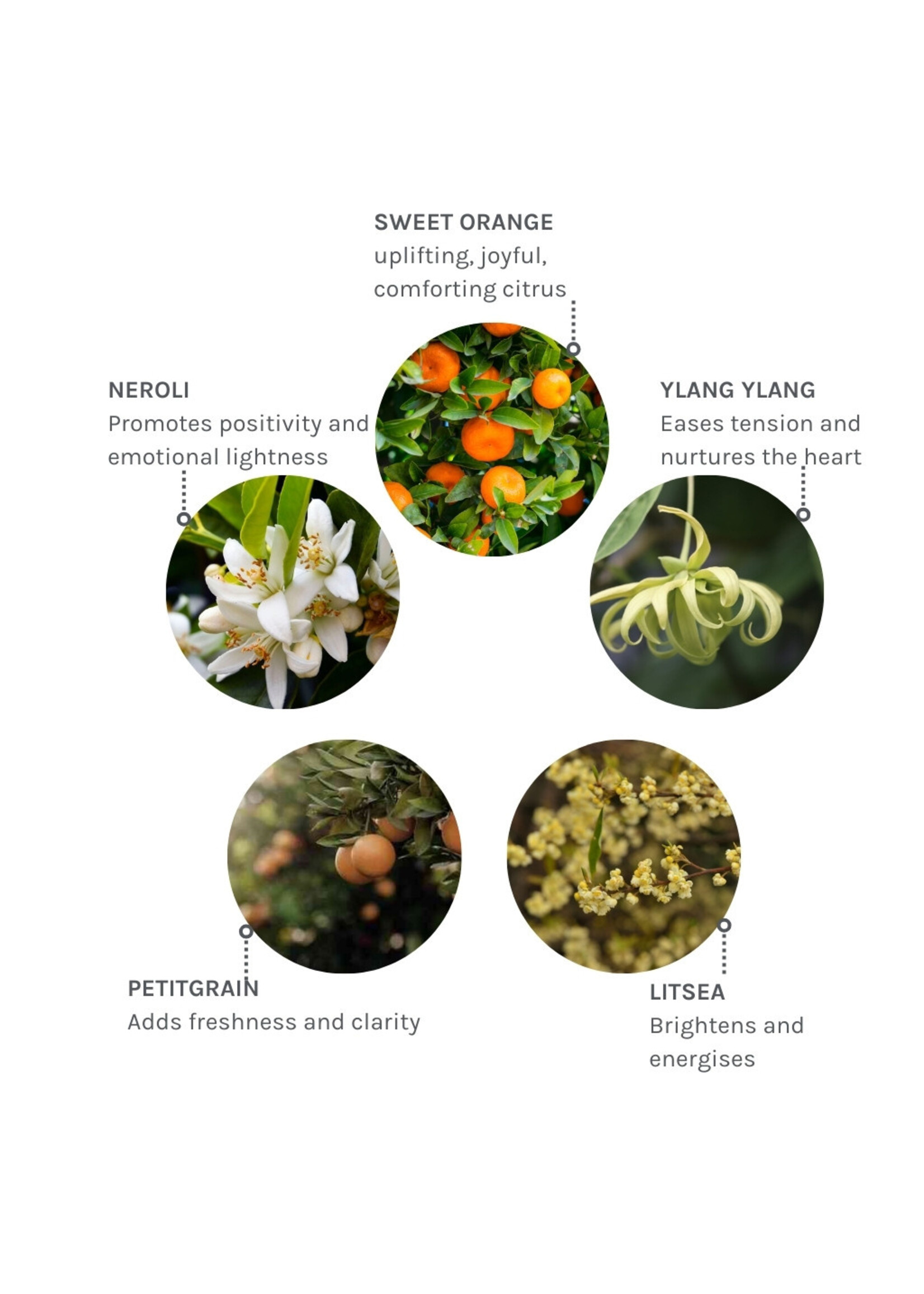 Evolve Organic Beauty  Joyful Light Pulse Roller