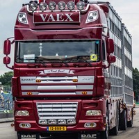 DAF  DAF XF 105 Zonneklep